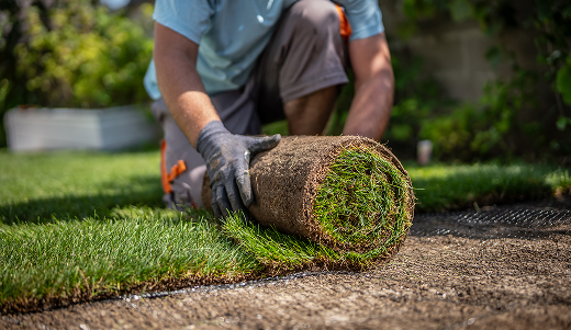 Turf & Shrub Management