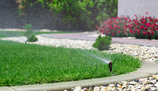 Water Management & Irrigation